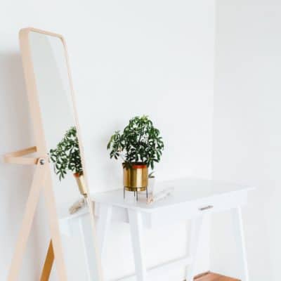 white room with a copper edged mirror and green plant