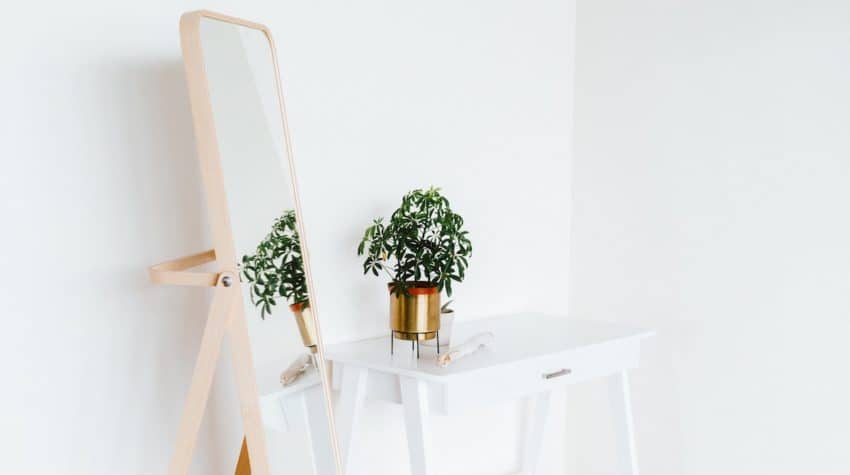white room with a copper edged mirror and green plant
