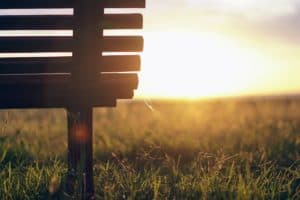 Bench in a grassy field at sunrise during Lent