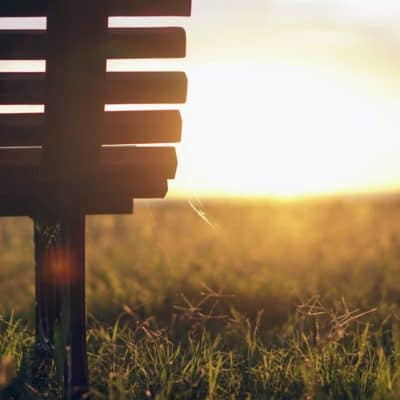 Bench in a grassy field at sunrise during Lent